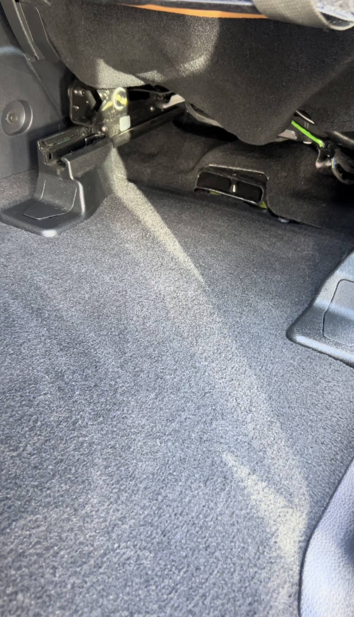Floor carpet after pet hair removal
