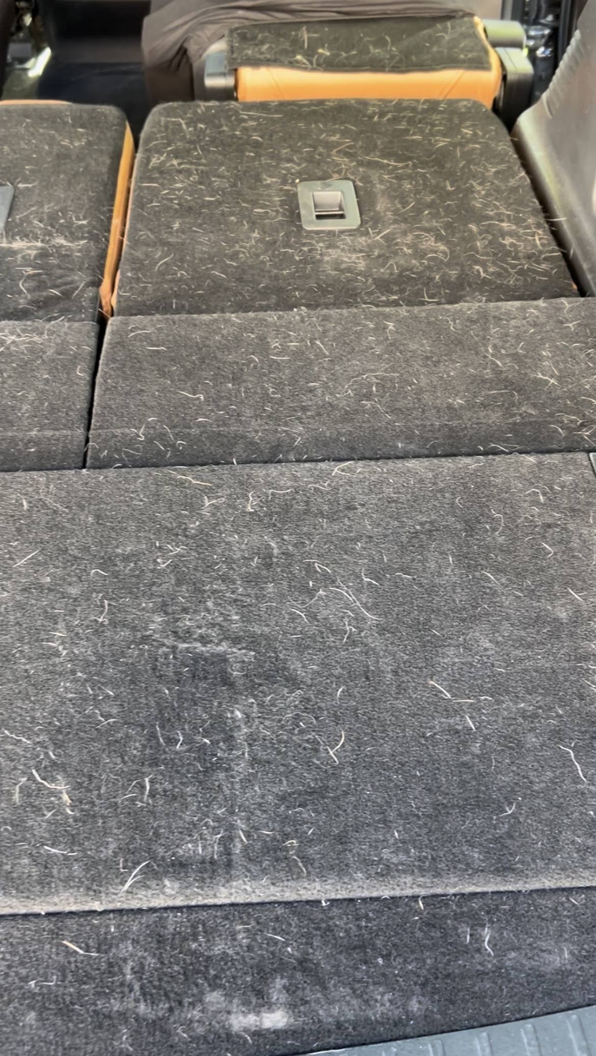 Cargo area before pet hair removal